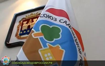 kaliningrad23213